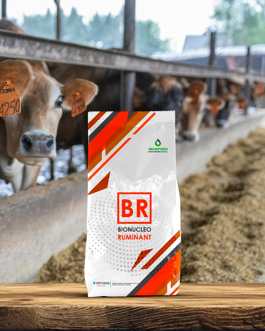 Bio-Núcleo Premix Engorde 1%