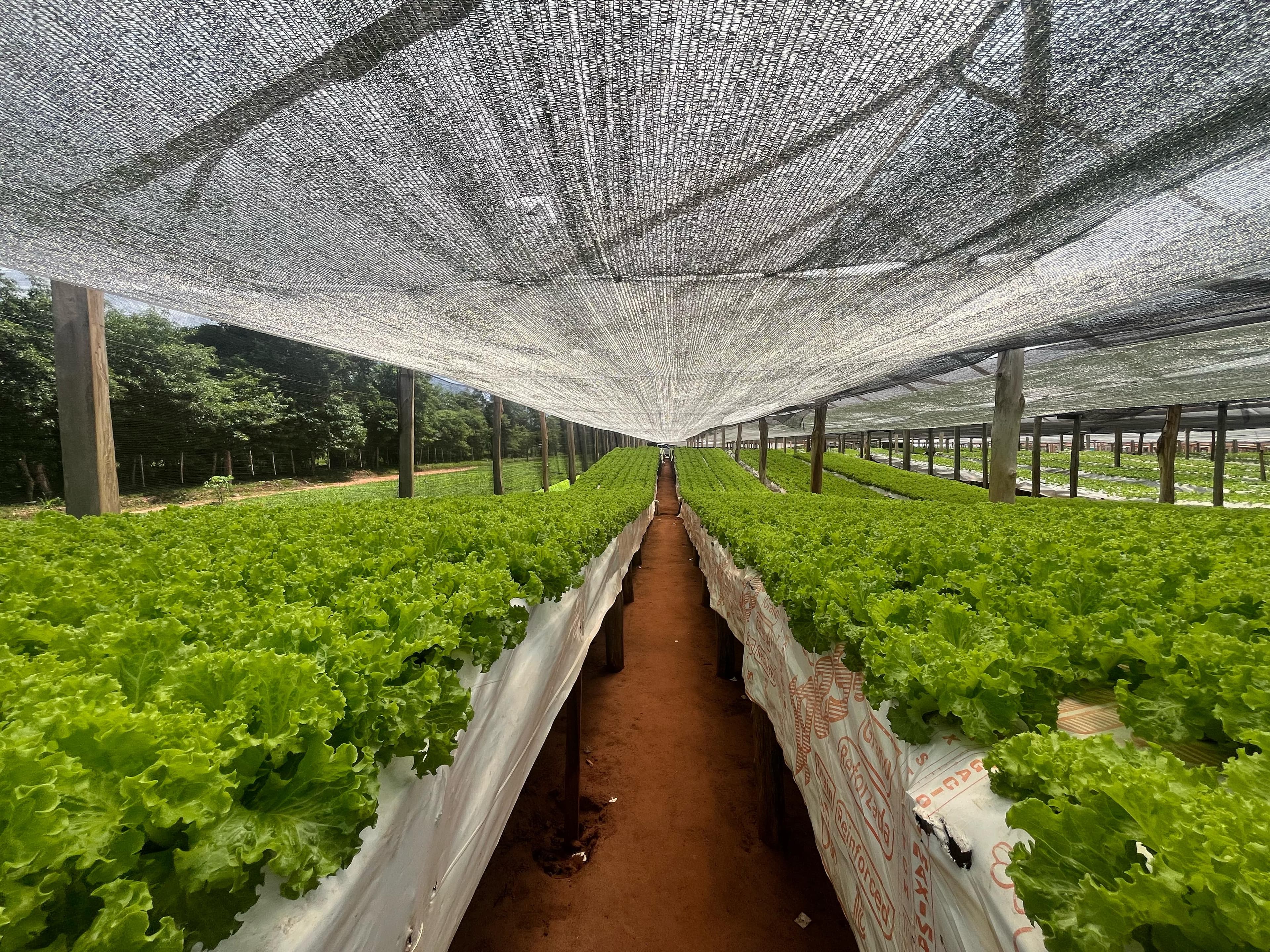 Media Sombra imagen 1